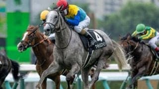 【AI予想・神戸新聞杯】前走ダービー出走馬が強さ見せる菊花賞トライアル！ 人工知能は意外な本命候補を提示