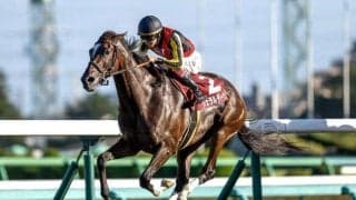 【オールカマー予想オッズ】ジェラルディーナが予想1番人気