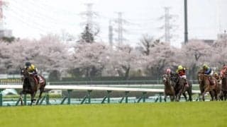 天皇賞(春)で競走中止のタイトルホルダーが復帰 オールカマーで復活アピールする圧勝劇を