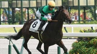 【神戸新聞杯想定騎手】ハーツコンチェルトは松山弘平騎手、ファントムシーフは武豊騎手