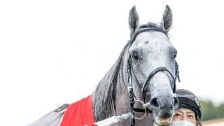 安田記念4着馬が再び中距離路線へ オールカマーで2つ目のタイトル狙う