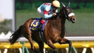 女傑アーモンドアイにも受け継がれた良血 日本向きの適応力持つヌレイエフについて解説