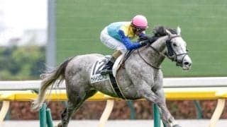 【神戸新聞杯展望】菊花賞への最重要ステップ、3連勝中のナイトインロンドンに期待したい