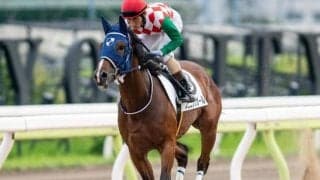 【大井・ゴールドジュニア枠順】連勝中のスピニングガールは5枠5番