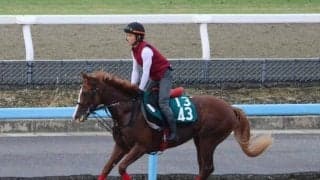 バッジオブオナーなど、先週のゲート試験/栗東トレセンニュース