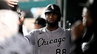 大谷翔平に７本差！ホームランキング争いの行方　ライバル　ロベルトが２試合連続となる３７号に３安打の固め打ち