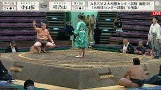 はい、勝ちました！白星の度に手の角度が上がる（？）序ノ口力士がファンの間で話題