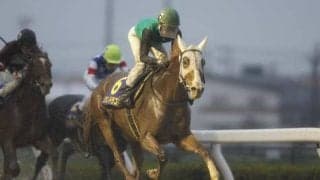 【シリウスS想定】昨年の浦和記念覇者クリノドラゴン、JDDでミックファイアの2着だったキリンジなど15頭