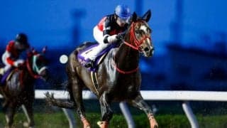 【浦和・オーバルスプリント結果】ドライスタウトが全日本2歳優駿以来の重賞2勝目を挙げる