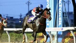 【オーバルスプリント】ドライスタウトが力でねじ伏せる…重賞2勝目