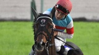 【先週のJRA抹消馬】昨年のチャンピオンズC覇者ジュンライトボルト、芝中長距離で活躍のキングオブドラゴンなど
