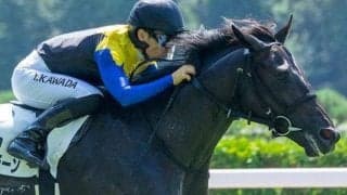 2億円超の良血ホースが野路菊Sに レイデオロ産駒OPクラス初挑戦初制覇なるか