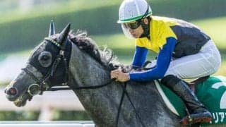 クロフネ産駒が歴代1位タイの19年連続JRA重賞制覇へ マリアエレーナがオールカマーに挑む