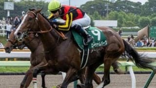 ハービンジャー産駒の“大器” 重賞連勝でのオールカマー制覇なるか