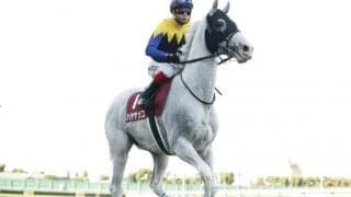 【オールカマー予想】大敗直後の馬は過信禁物!? AIは人気薄の伏兵を注目馬に指名