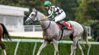 【オールカマー展望】古馬中距離GIの前哨戦、特に4歳馬が活躍傾向