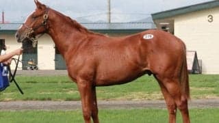 2日目は8億円弱の総売上 盛況を見せるセプテンバーセール