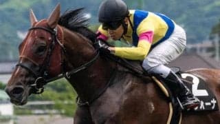 阪神芝2400mはキズナ産駒と相性抜群 サヴォーナが神戸新聞杯で重賞初Vなるか