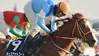 オールカマーに17年ぶり地方馬参戦 実績ある中山で大金星なるか