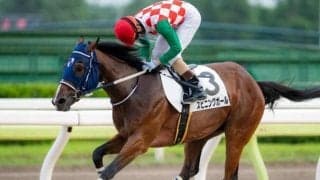 山口裕介オーナーが送り込む素質馬 スピニングガール重賞初制覇なるか/大井・ゴールドジュニア注目馬