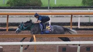 マッドクール、スプリンターズS1週前追い切り速報/栗東トレセンニュース