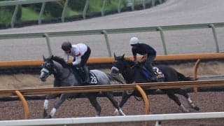 ナムラクレア、スプリンターズS1週前追い切り速報/栗東トレセンニュース