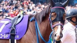 「アイドルホースオーディション2023」最終結果が発表！ 14万9244票の行方は？