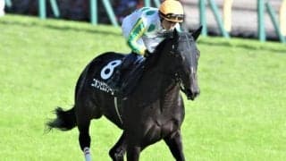 大橋勇樹調教師への臨時貸付期間満了にともなう管理馬の転厩