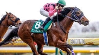 【神戸新聞杯出走馬・騎手確定】ハーツコンチェルト＆松山弘平騎手、ファントムシーフ＆武豊騎手など13頭