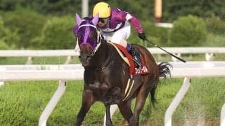 【園田・園田プリンセスC結果】コモリリーガルが3連勝で重賞初制覇！