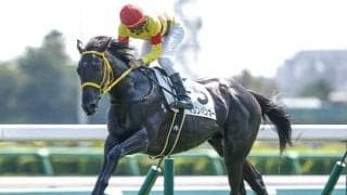 新馬戦を11番人気ながら完勝 マリンバンカーはサウジアラビアRCへ