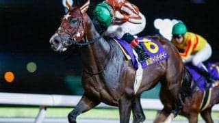 ワクワクする3歳戦/島田明宏