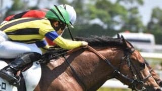 オールカマーはディープインパクト産駒と相性抜群 今年は重賞初V狙う4歳馬に期待