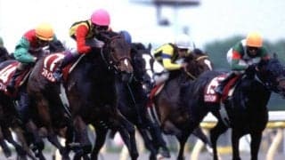 GI馬スティンガーが27歳で死亡 98年の阪神3歳牝馬Sを連闘で制す
