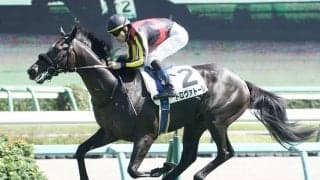 【新馬/中山6R】レイデオロ産駒 トロヴァトーレがデビューV