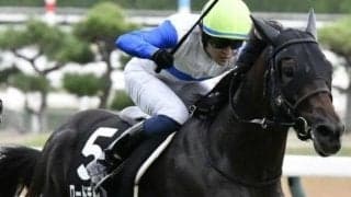【神戸新聞杯】3年ぶりの無敗馬Vへ ロードデルレイが重賞初挑戦初制覇なるか