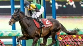 【オールカマー枠順確定】タイトルホルダーは2枠2番、ガイアフォースは4枠7番