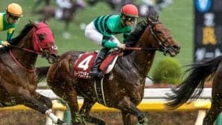 【神戸新聞杯枠順確定】ハーツコンチェルトは8枠13番、ファントムシーフは5枠7番