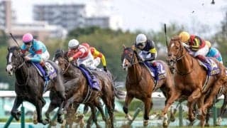 イクイノックス破ったクラシックホースが地方参戦 南部杯で皐月賞以来の白星狙う