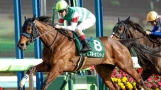 凱旋門賞に挑むスルーセブンシーズの調教状況 尾関師「ここまで良い状態で来ることができている」