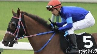 阪神ダ1400m巧者のスプラウティング 絶好外枠で勝機だ