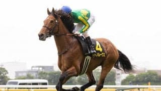 2億7000万円のディープインパクト産駒がキャリア初のダート挑戦 菊花賞2着以来の京都で復活なるか