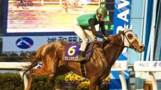 【シリウスS想定馬・騎手】クリノドラゴンやキリンジなど14頭