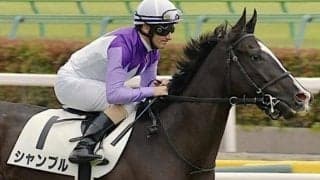 初ダートの前走が見どころあり 大阪スポーツ杯はシャンブルで穴狙い