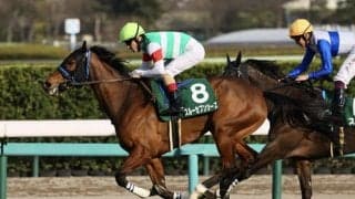 【凱旋門賞】尾関師「良い状態で来ることが出来ている」スルーセブンシーズ近況