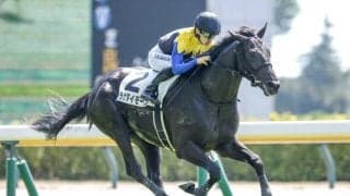 【今日の注目ポイント】中山でダートOPながつきS、阪神で野路菊Sなど