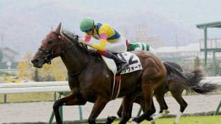 菊花賞への重要ステップレース、神戸新聞杯の狙い目はコース適性が高い血統を持つ２頭