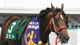 【オールカマー予想】残暑が続く中山で一変!? 気候成績から導き出された激走注目馬