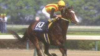 祖母はGI2勝の名スプリンター 土曜阪神2Rはマーメイドが1200mで一変だ