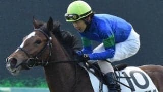 【土曜中山4R予想】前走は好時計V ランドオブラヴは昇級不問だ